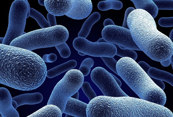 Wallpaper Microorganism Bacteria Desktop 3d Goodwp