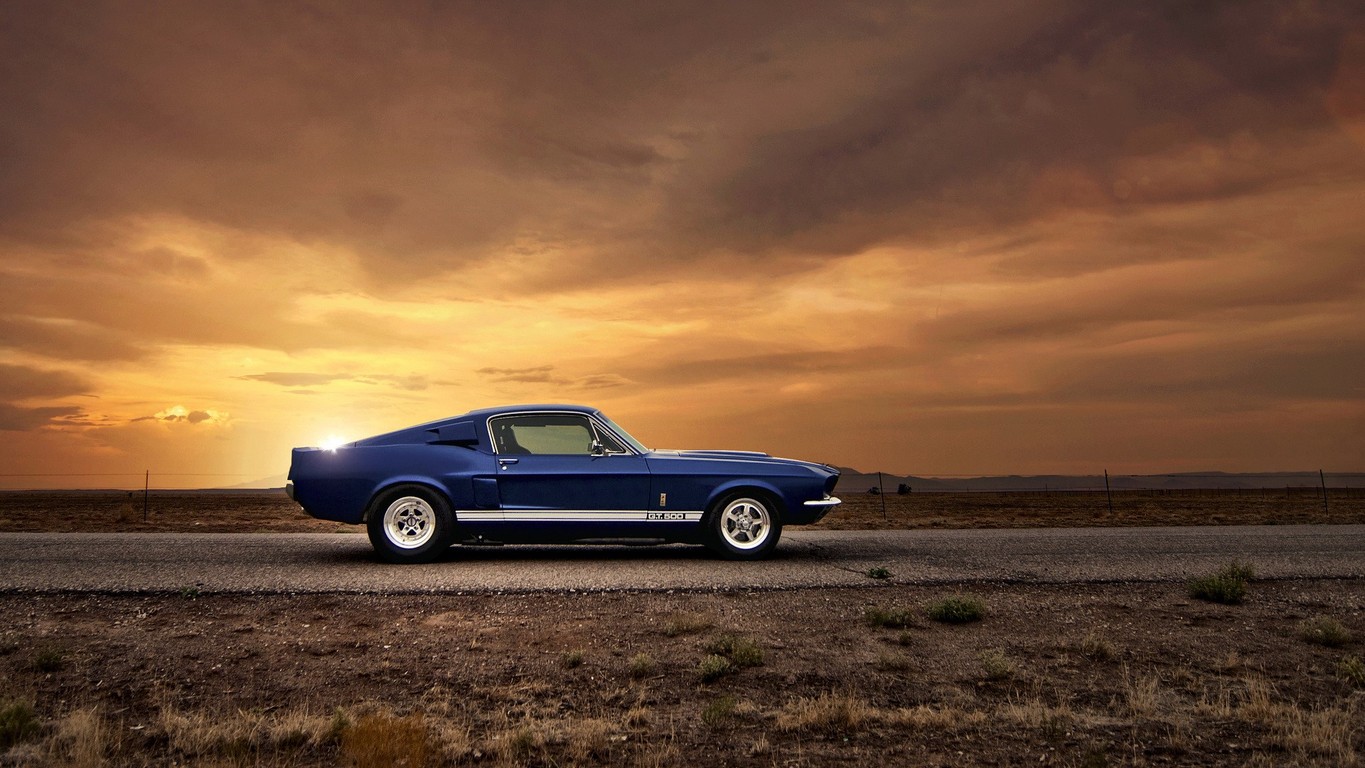 Ford Mustang Shelby GT500 wallpaper 15297 1365x768