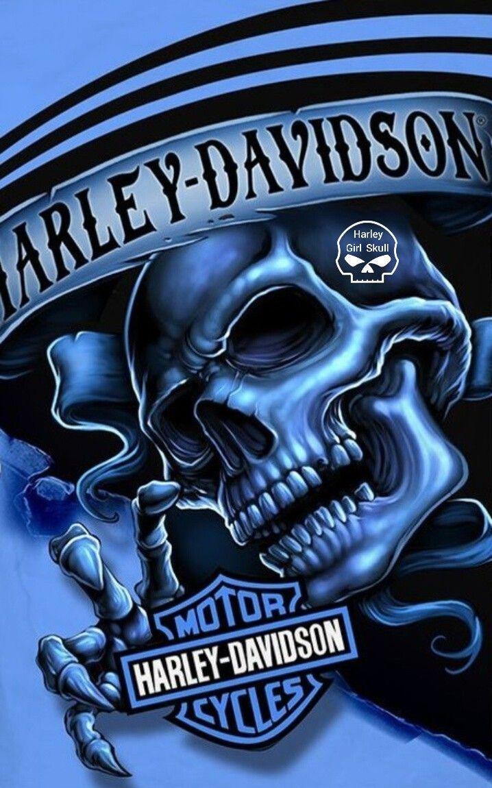 Pin by Ppora on H D in 2022 Harley davidson artwork Harley