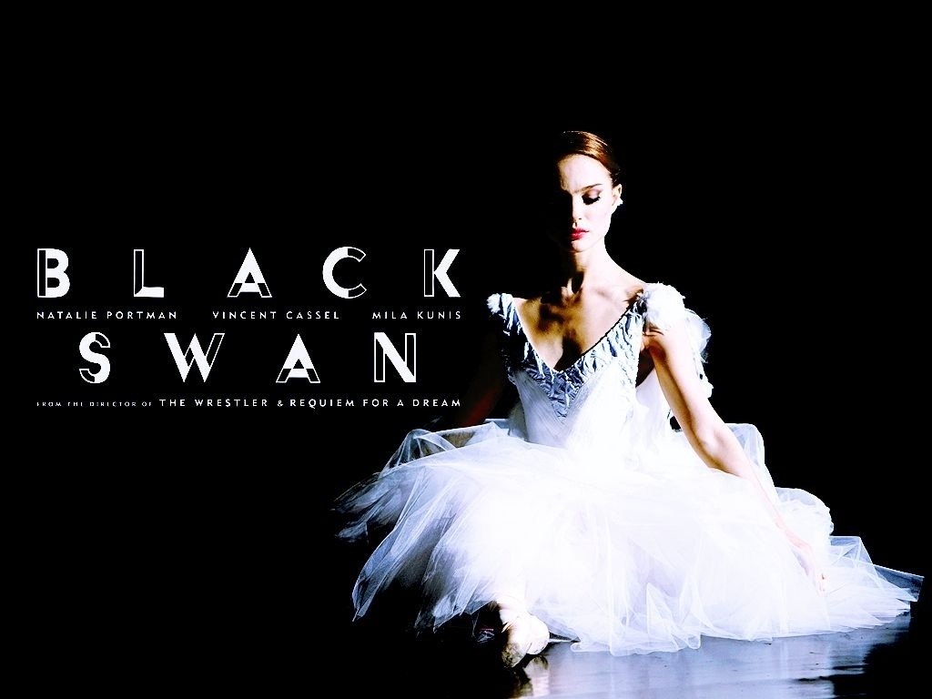 Black Swan Wallpaper   Black Swan Wallpaper 19953064 1024x768