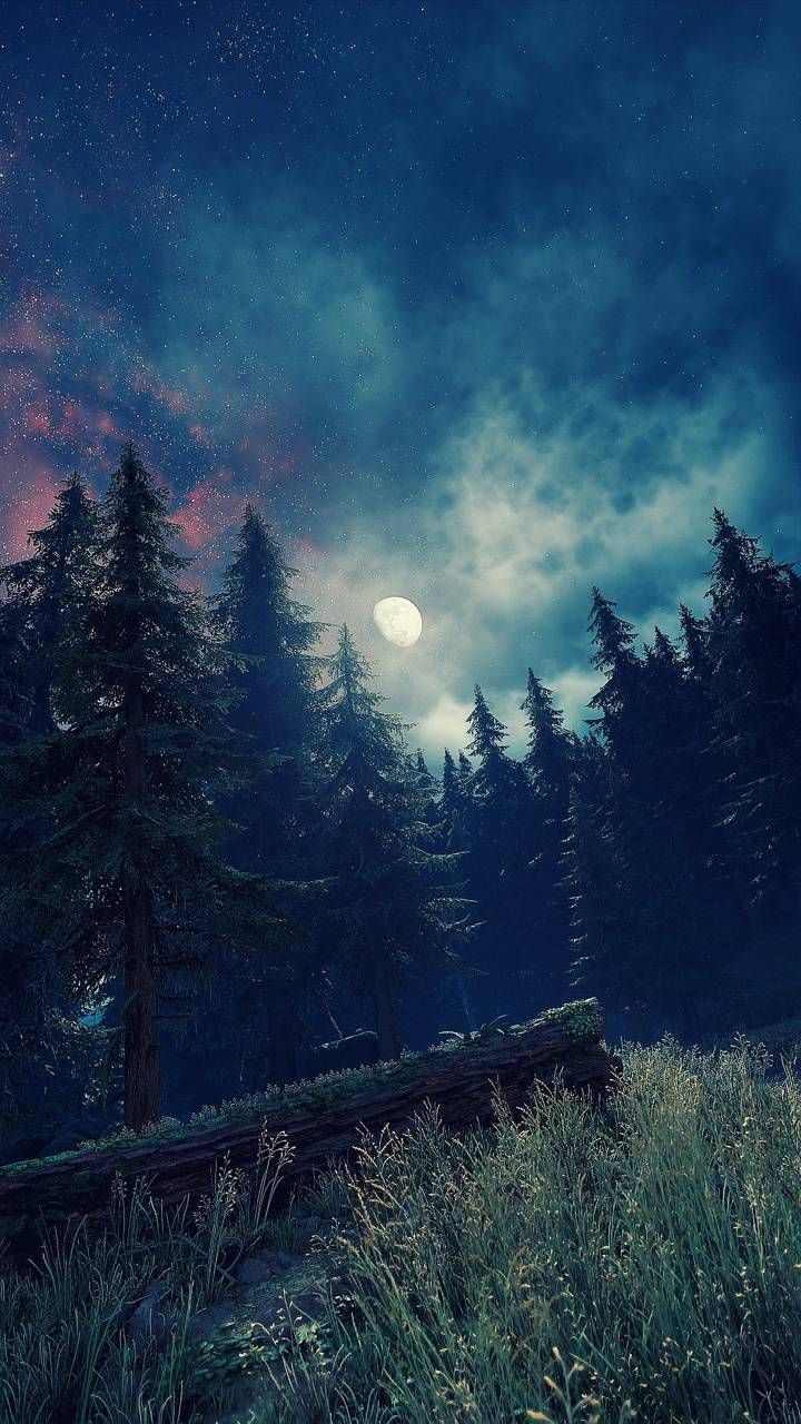 Forest Moonlight Wallpaper By Mindjackedjimmy 3b