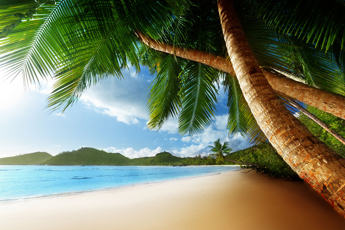 Caribbean Beach Free Wallpaper download   Download Free Caribbean