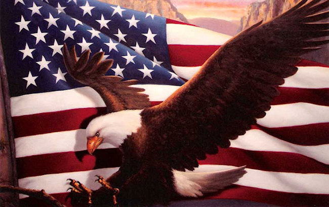 Bald Eagle American Flag Bald Eagle American Flag