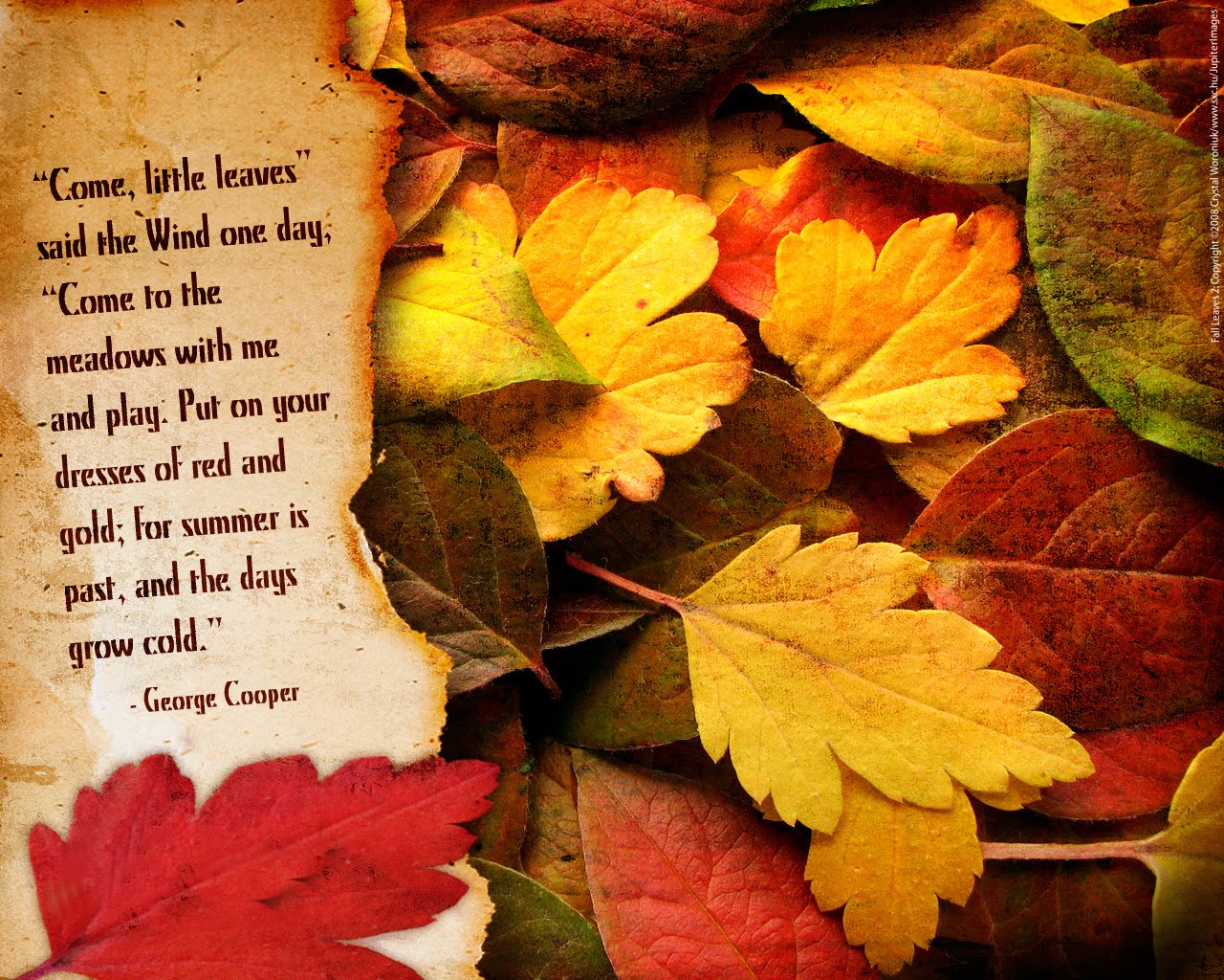 Thanksgiving Wallpaper Fall Leaves
