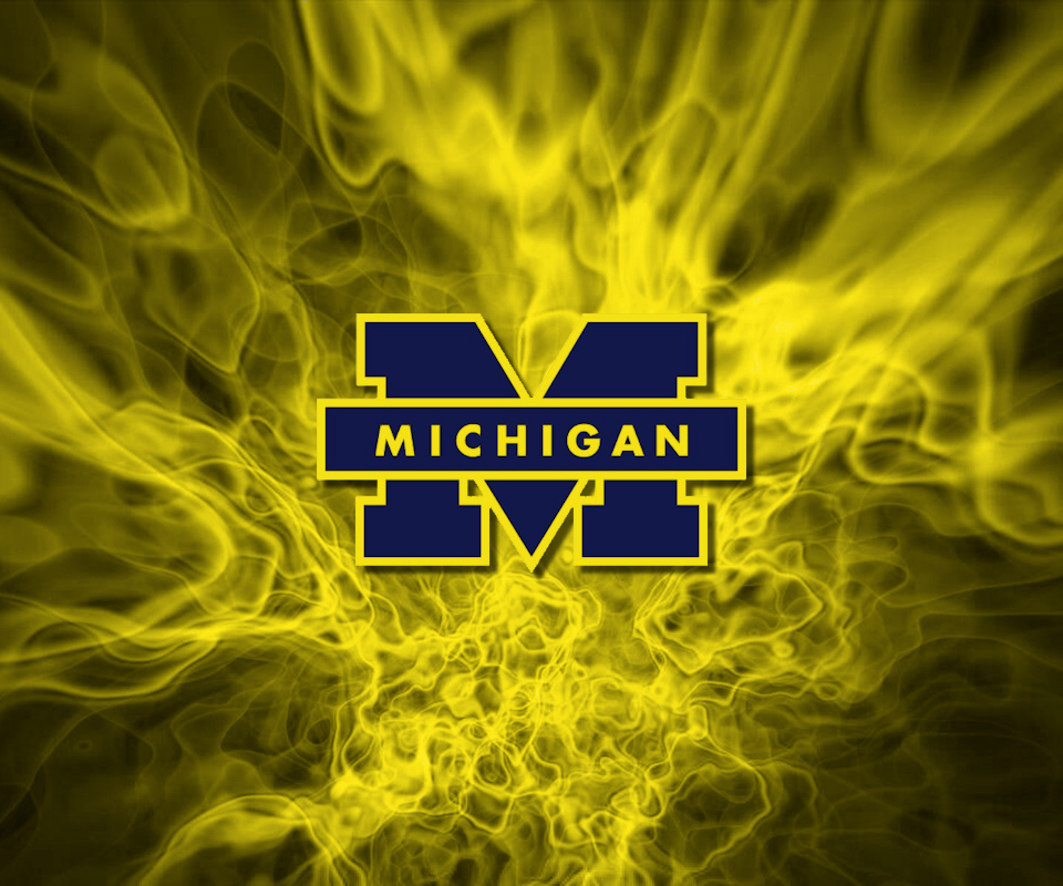 actually want the university of michigan i already built this 960x800