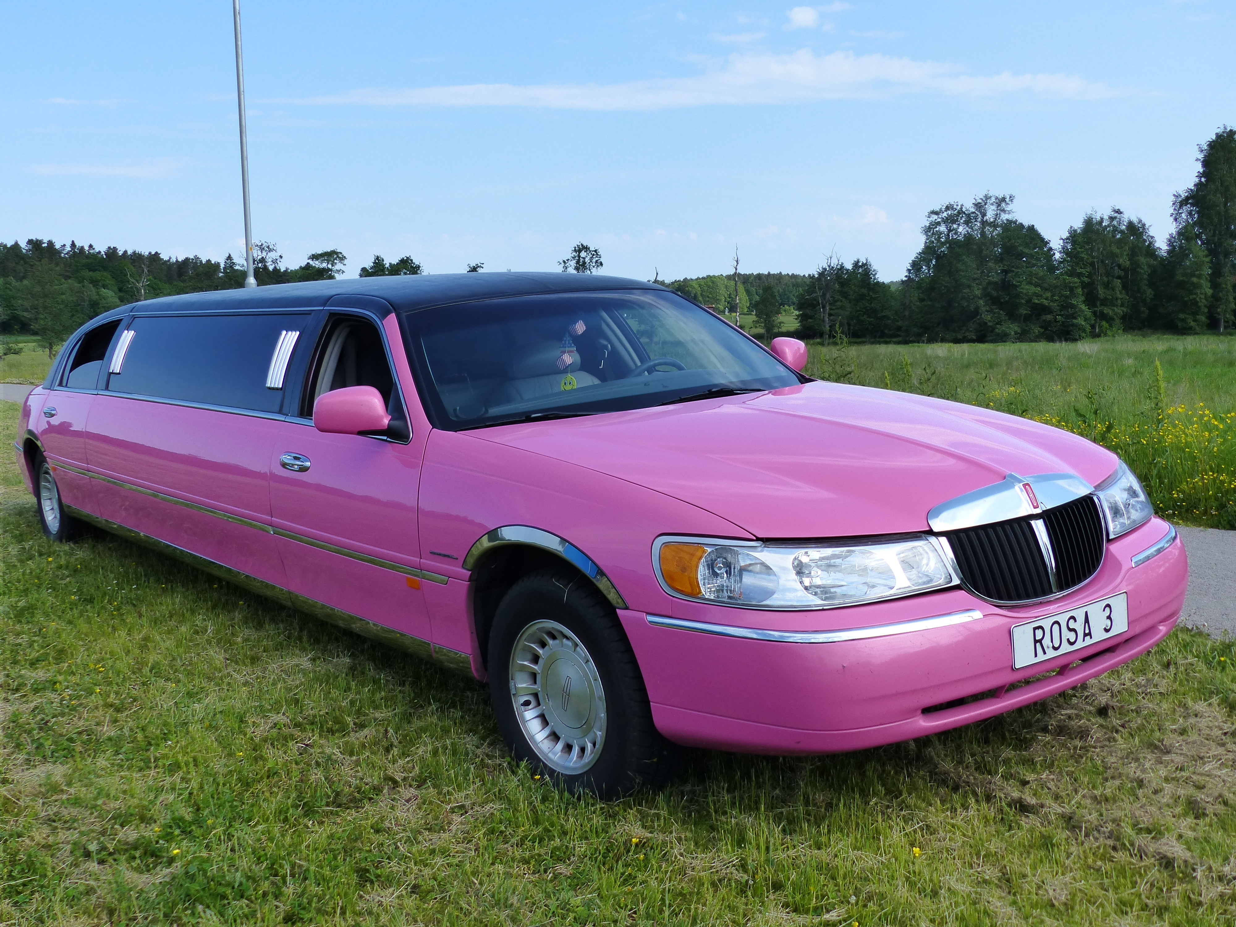 Pink Limousine Image