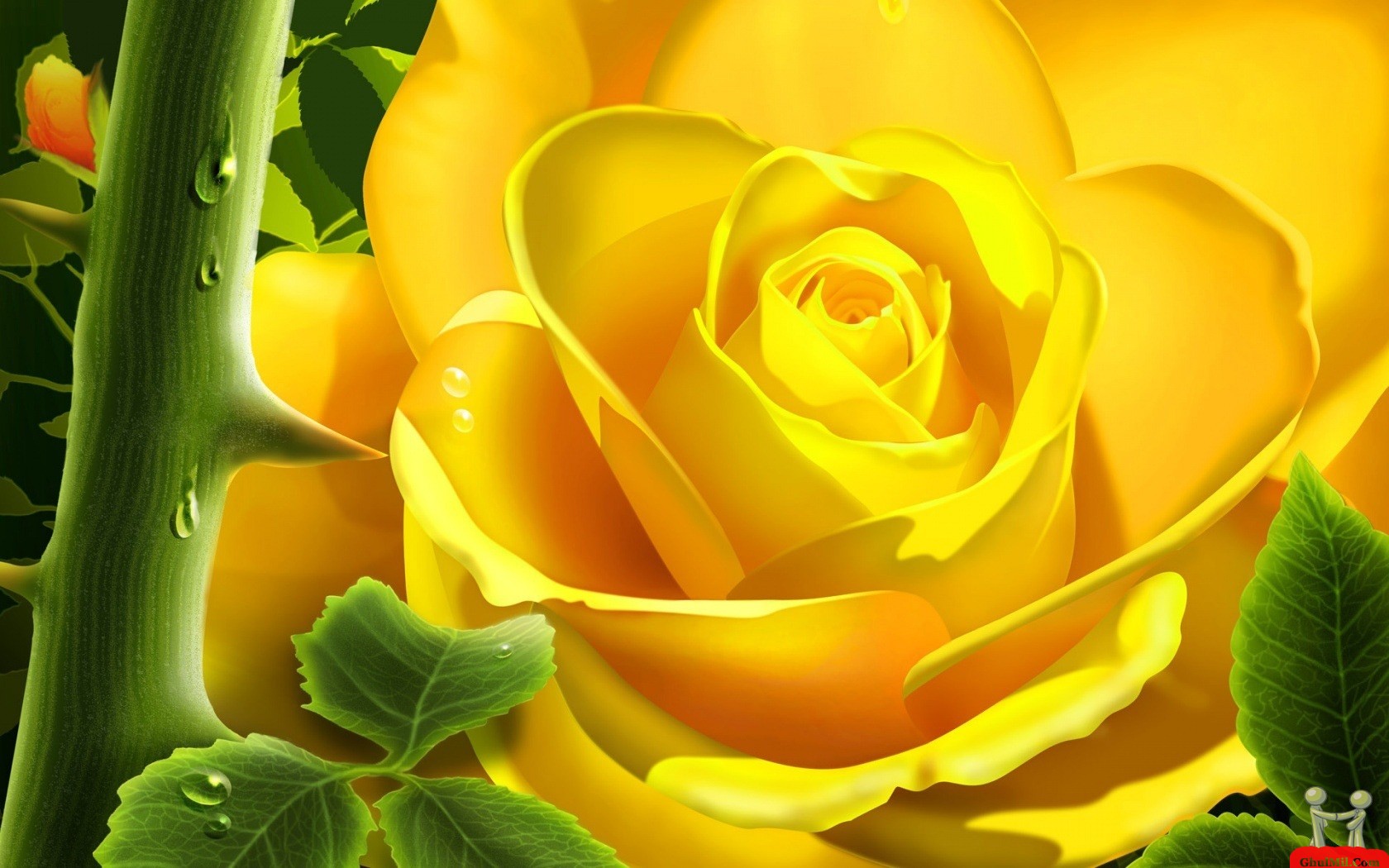 Superb 3d HD Yellow Rose Wallpaper