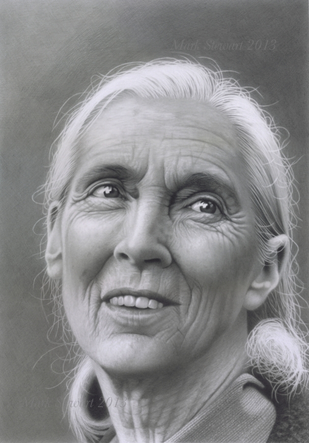 Jane Goodall By Markstewart