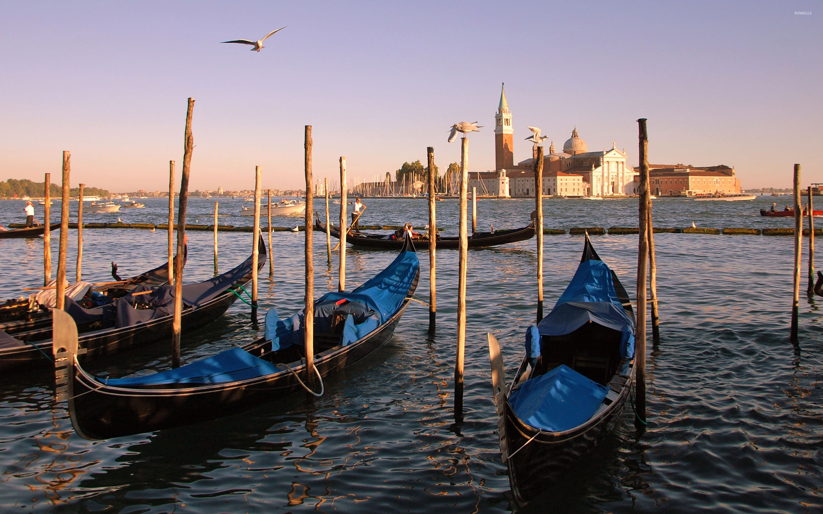 Gondolas In Venice Wallpaper World