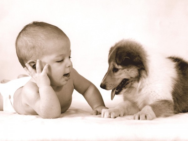 Baby With Puppy Widescreen Wallpaper Wide