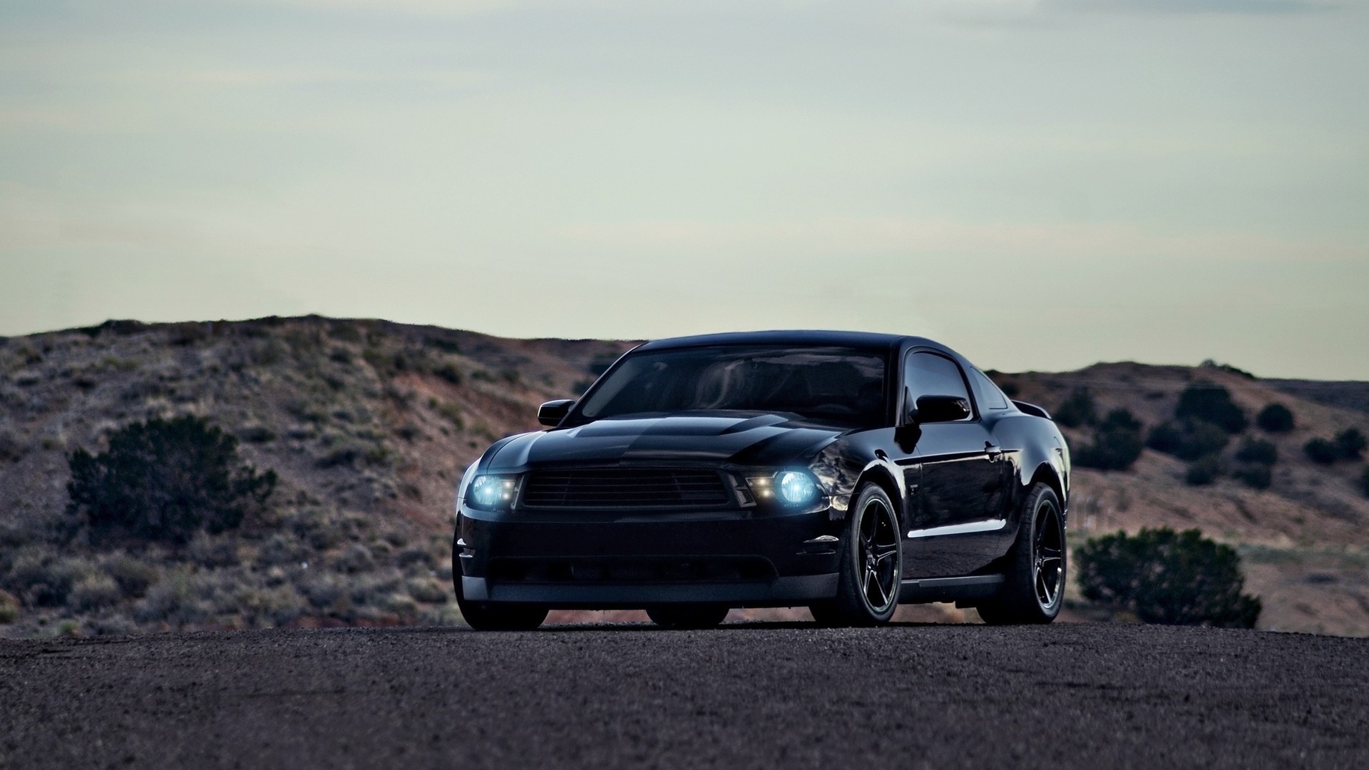 Ford Mustang Gt500 Black Wallpaper And Image Pictures