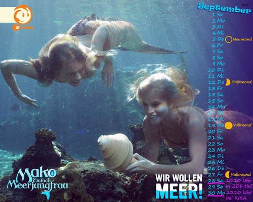 Mako Mermaids Image September HD Wallpaper And