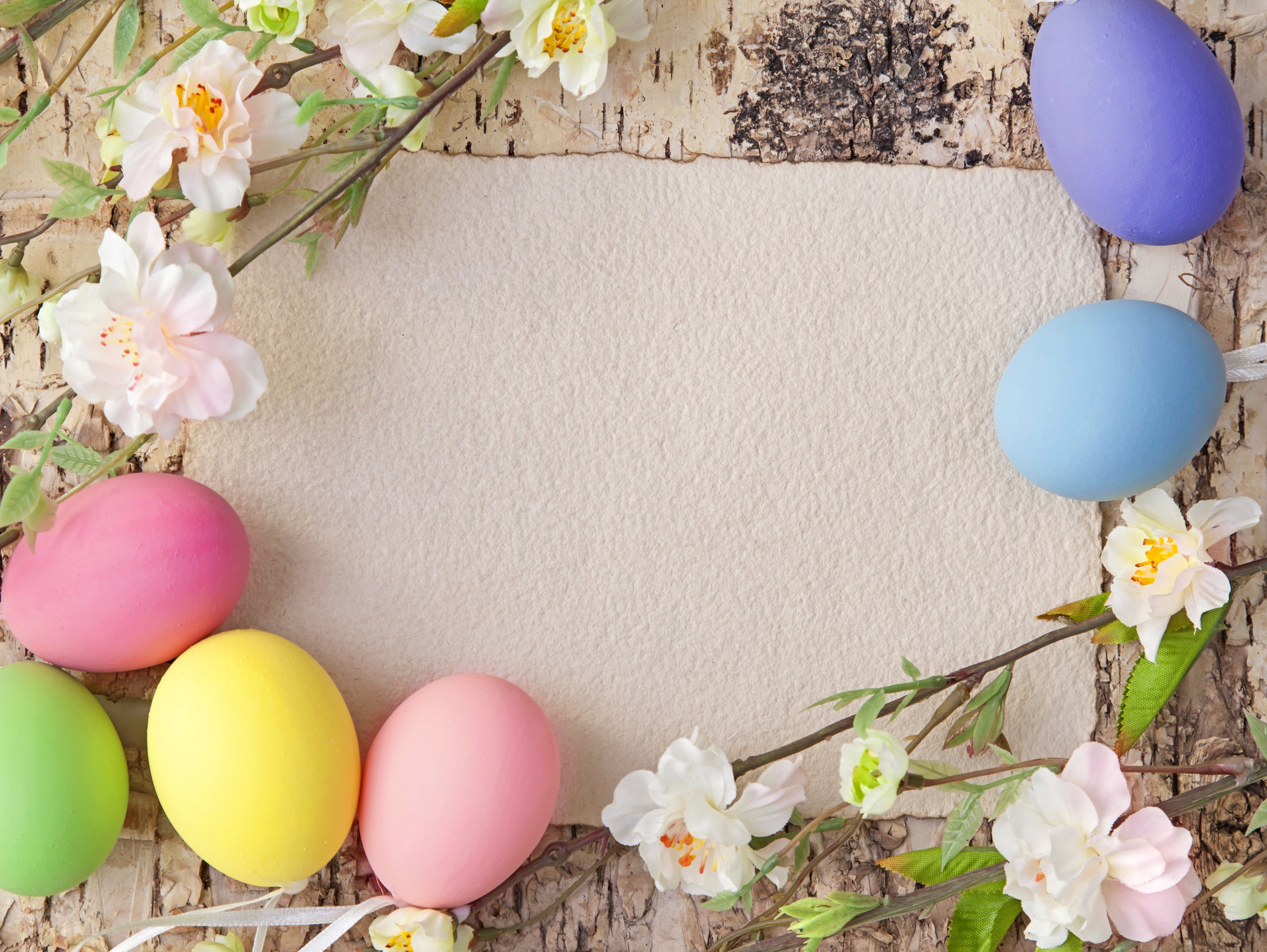 Easter Background with Eggs and Spring Branches Gallery