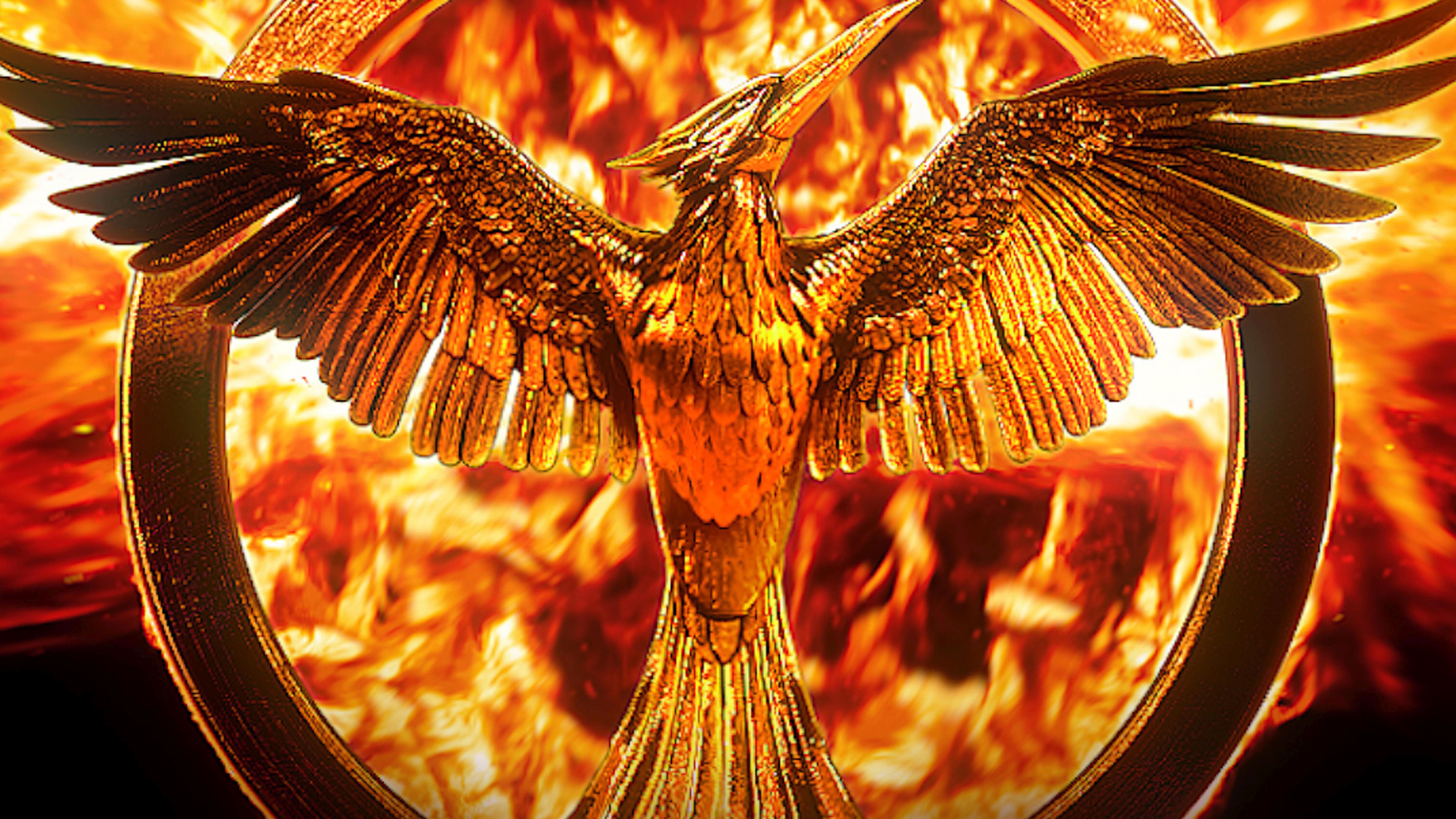 The Hunger Games Mockingjay   Part 2 Backgrounds Pictures Images