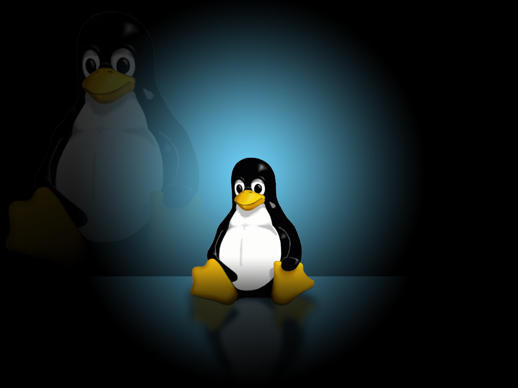 Estos Mandamientos Sobre Linux Jejeje Espero Les Guste
