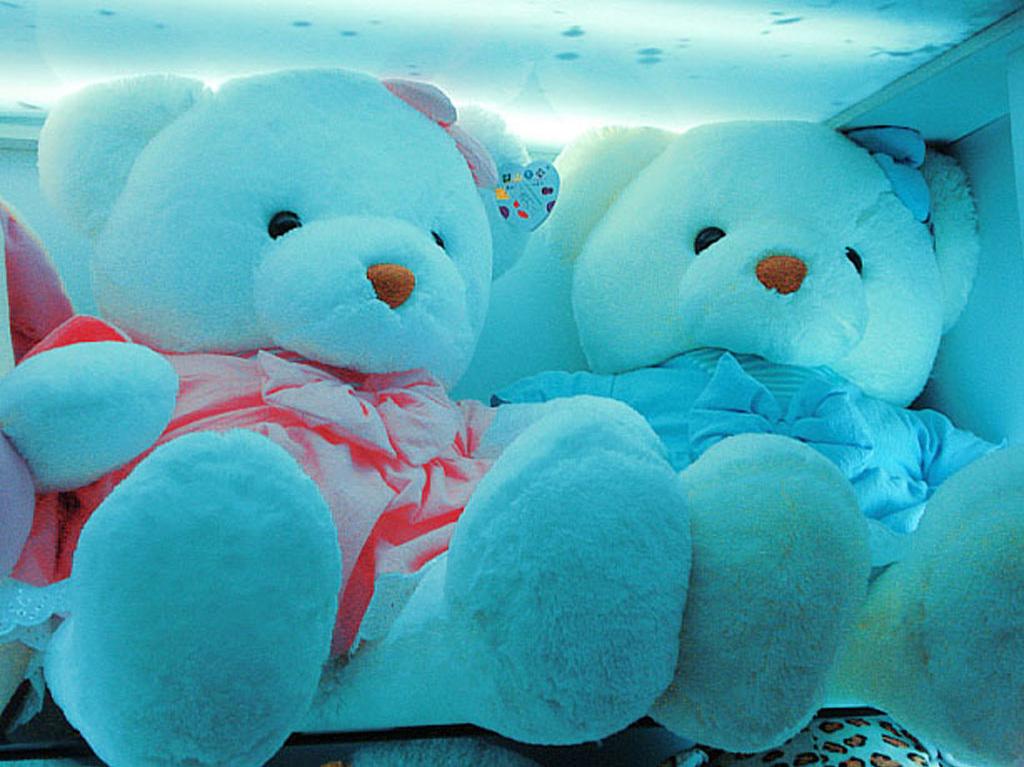 Free download Cute Teddy Bear Wallpapers For Desktop Hd Cute teddy