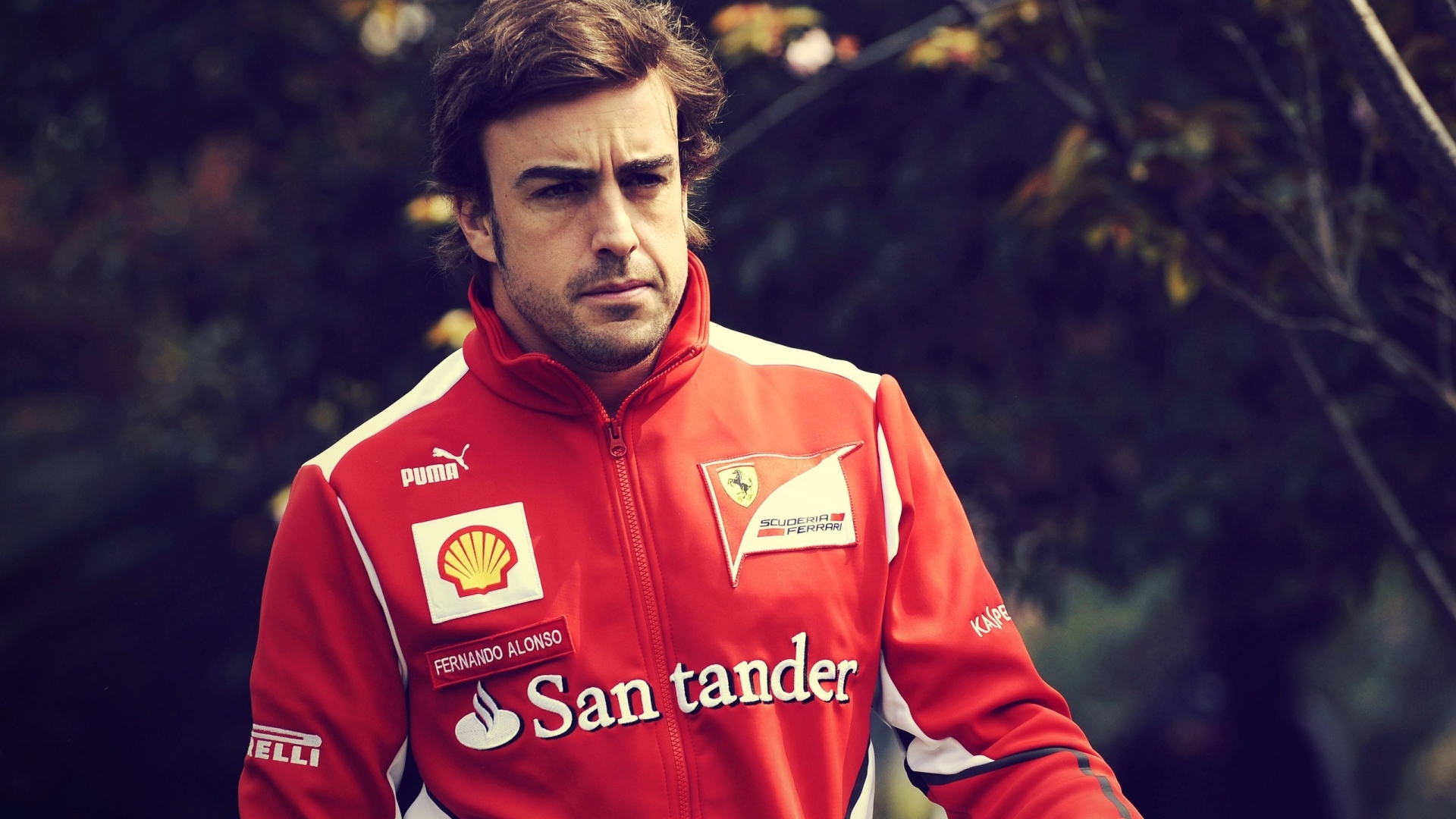Wallpaper Fernando Alonso Racing