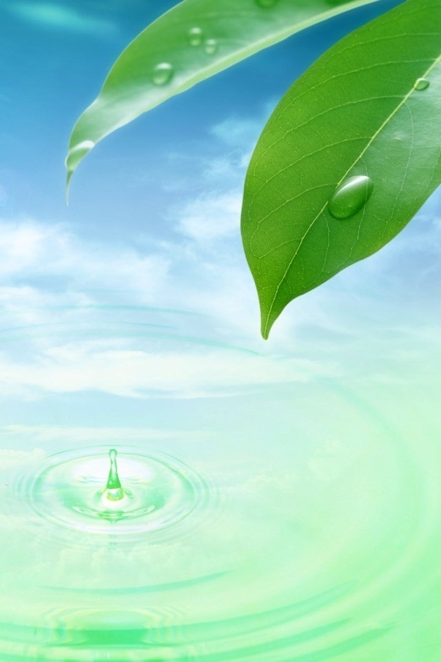 Apple Wallpaper Iphone Water Hd water drops green iphone 4