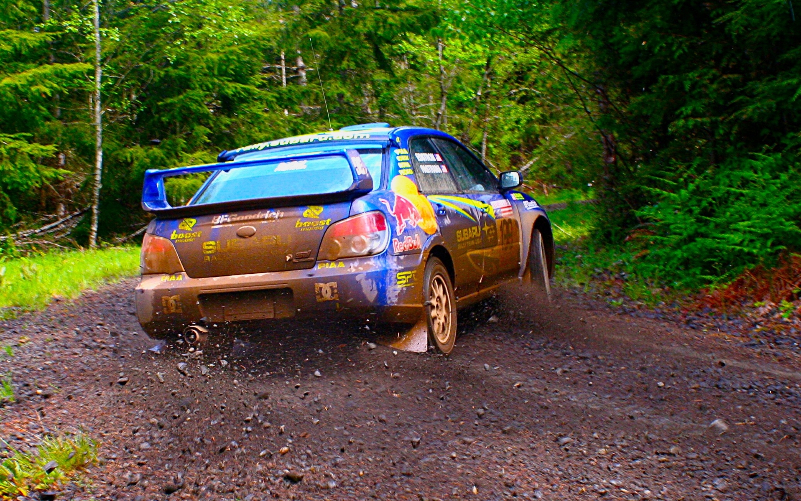 Wallpaper Trees Forest Cars Rally Subaru