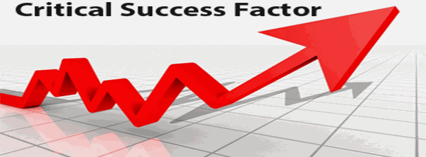 Critical Success Factors Why Csfs Important For Business