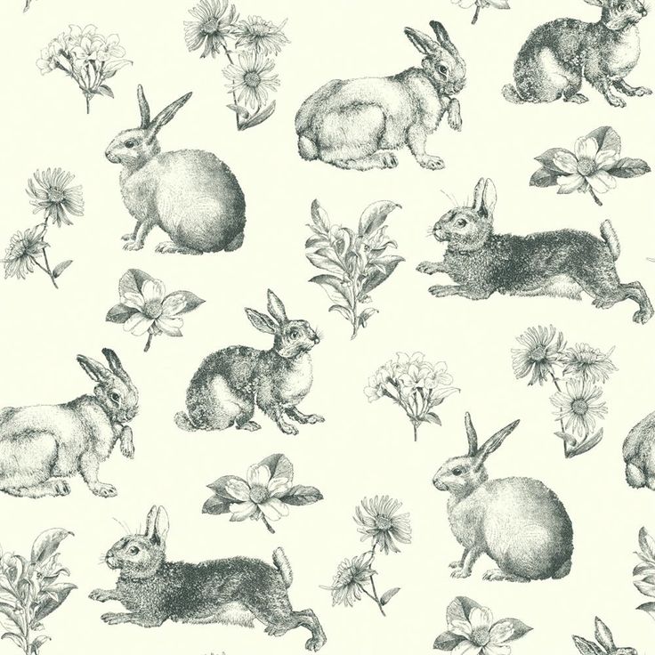 Rabbit Toile Wallpaper Inspired By Color Black White