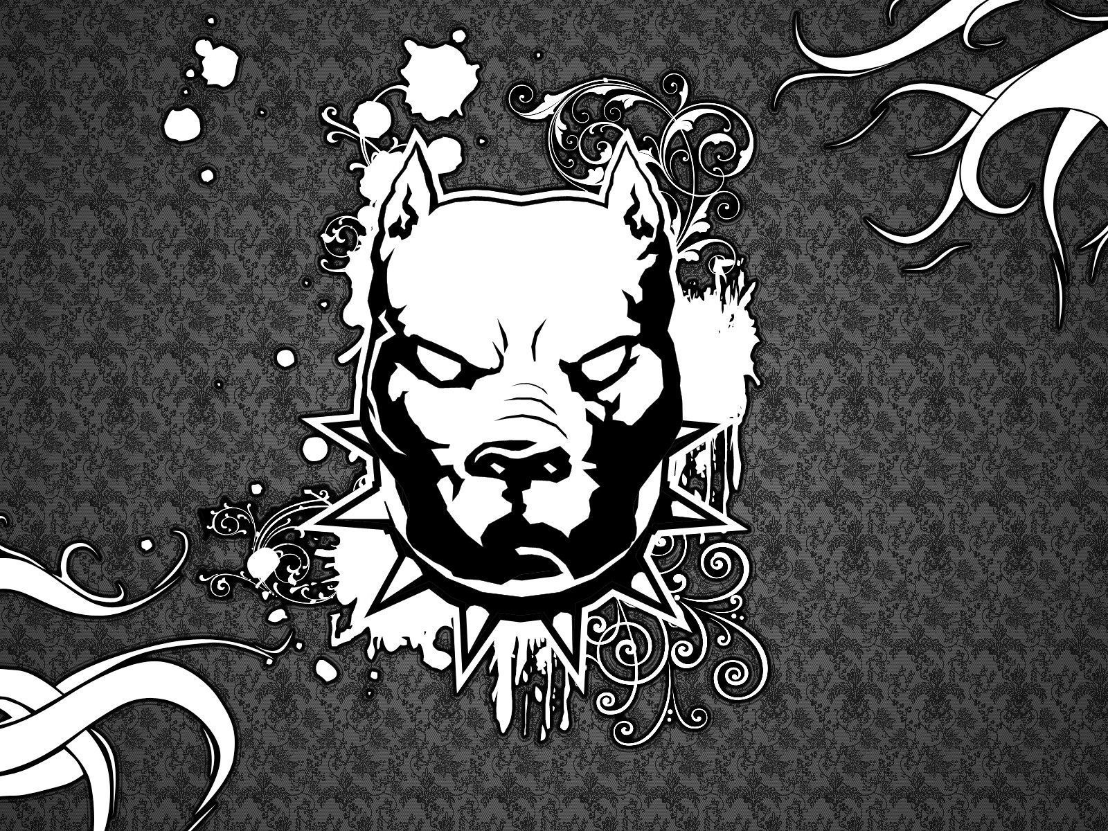 Pitbull Wallpaper HD For On Mobomarket