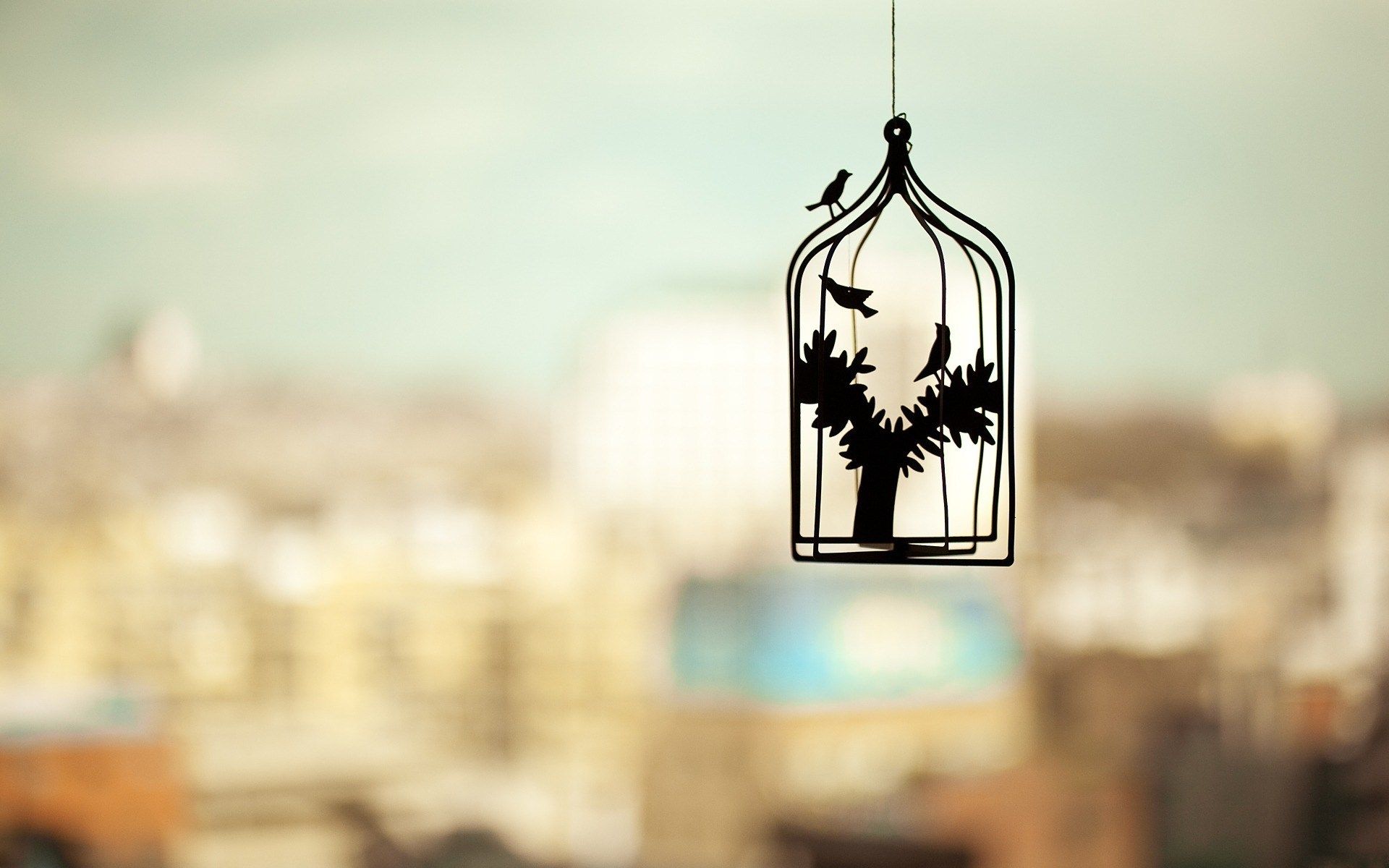 Birds Cage Photo HD Wallpaper My Kind Of Vintage iPhone