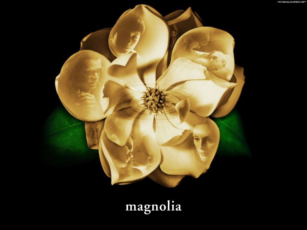 Yellow Magnolia Wallpaper Image