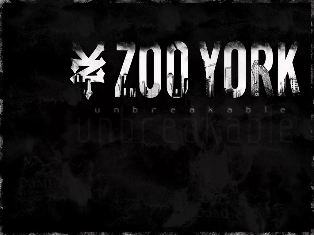Zoo York Logo Skateboars Image Picture HD Wallpaper