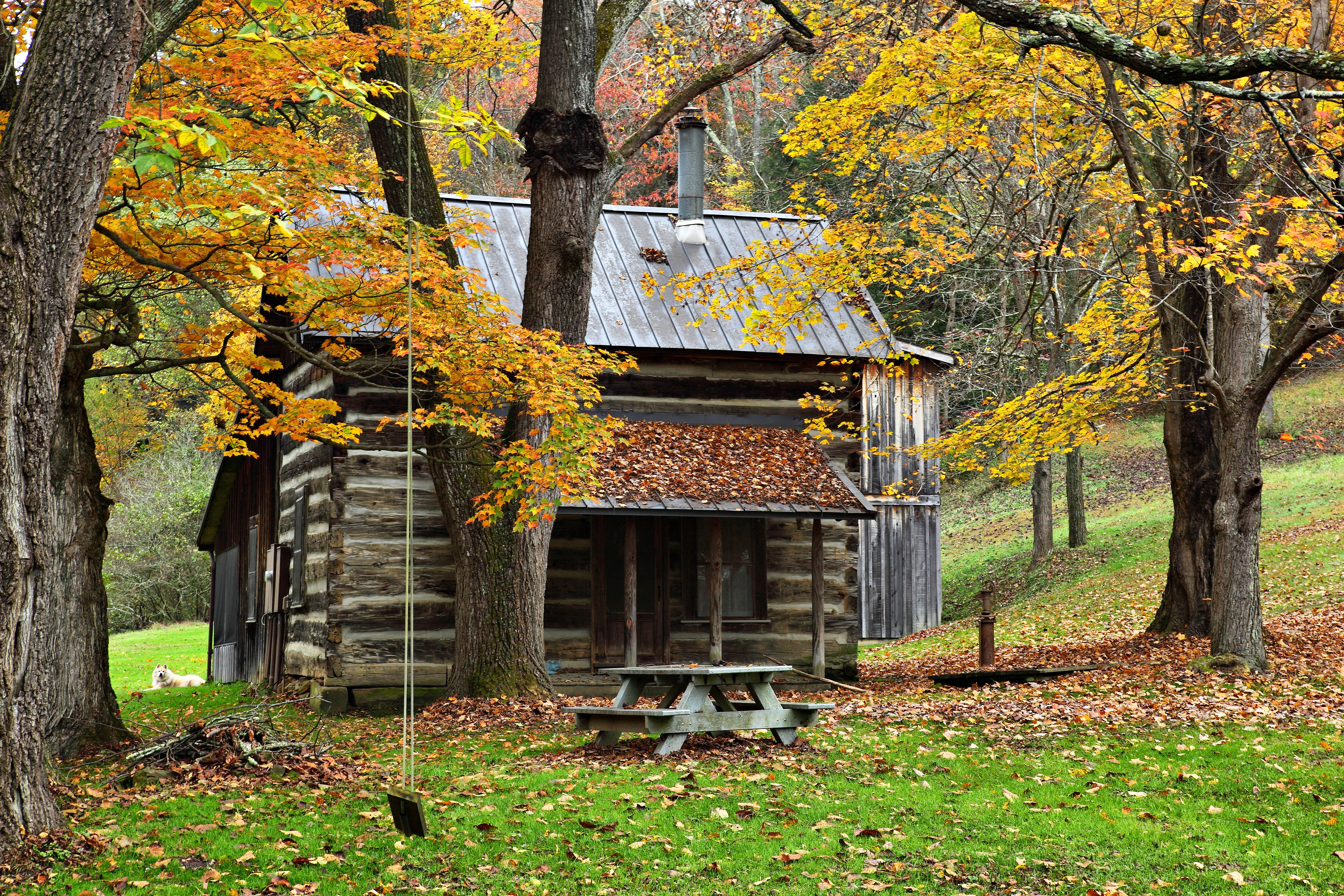 An Authentic Country Cabin In The Woods During Fall Foliage Season