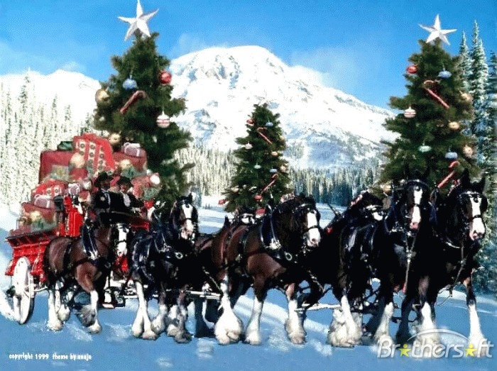 clydesdale horse christmas wallpaper