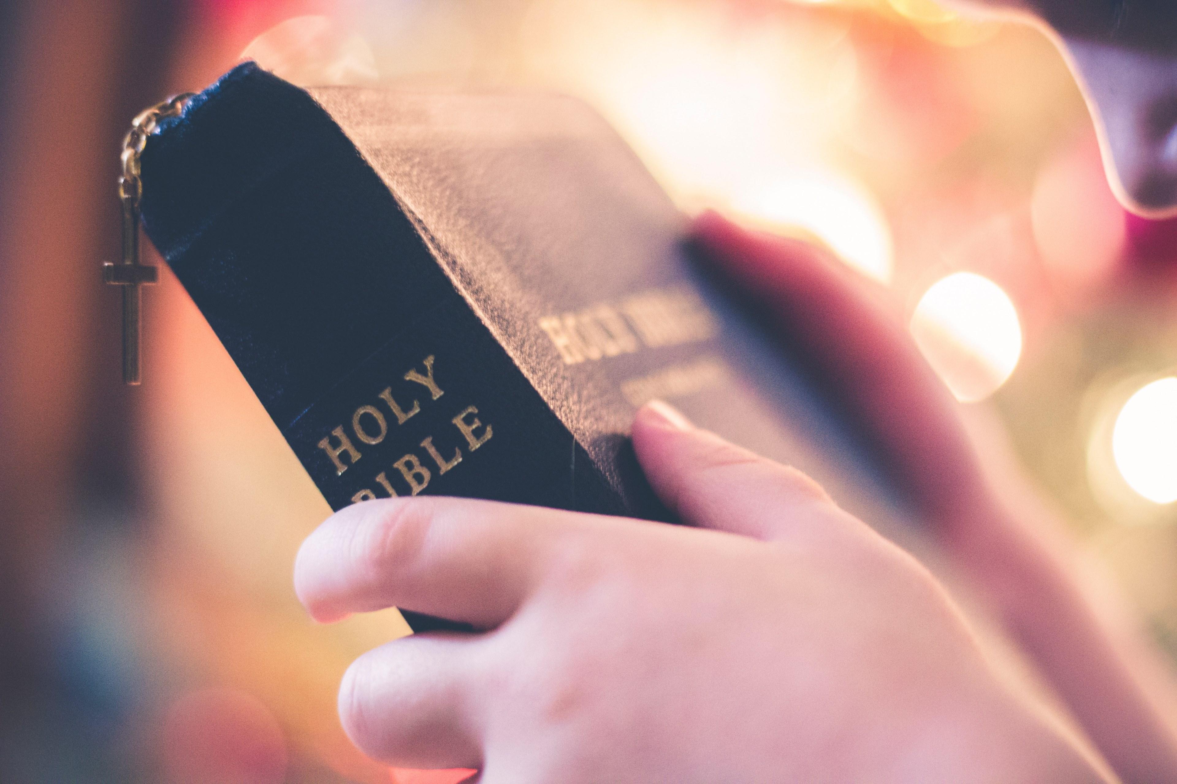 Wallpaper ID 227311 a person holding the holy bible  holding