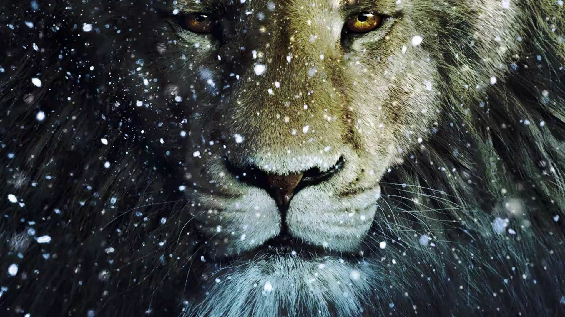 Aslan Narnia The Lion Puter Wallpaper Desktop Background