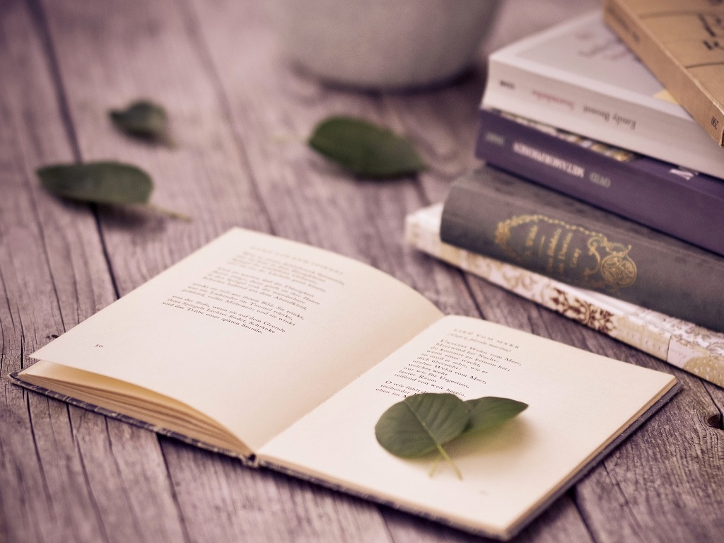 Reading Book Wallpaper