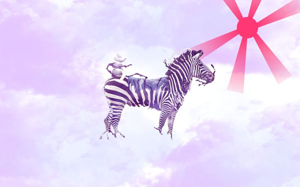 Cute Baby Zebras Wallpaper Zebra Image
