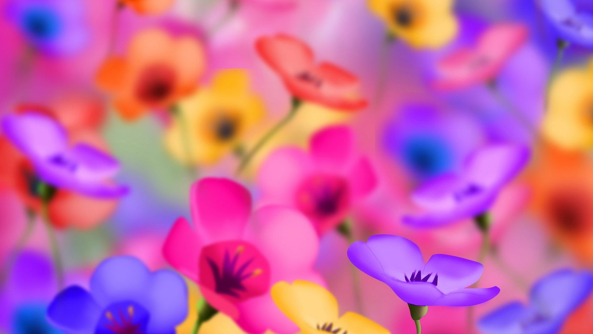 Color Brightness Wallpaper Amazing Flowers Flower