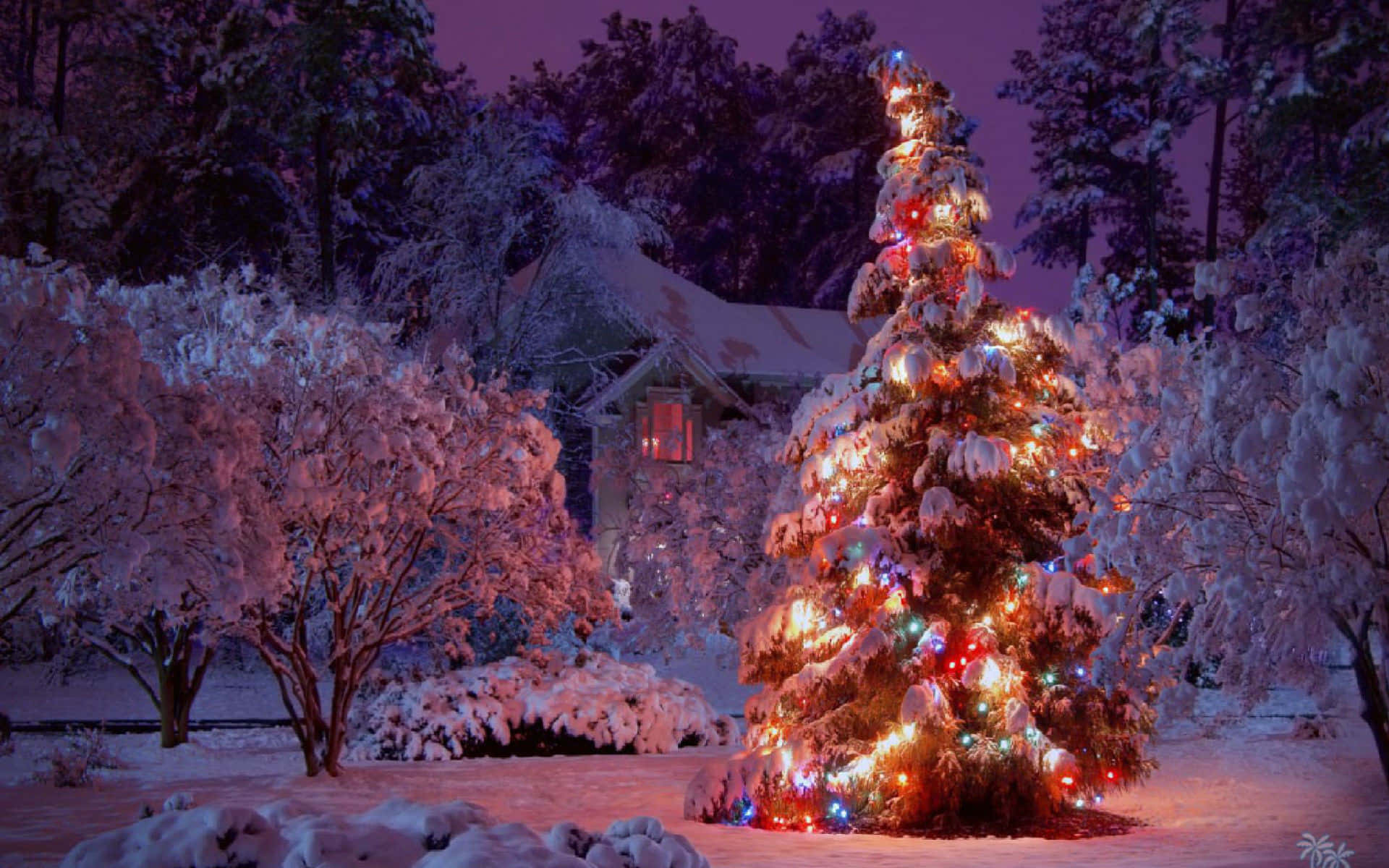 Christmas Snow Background Wallpaper