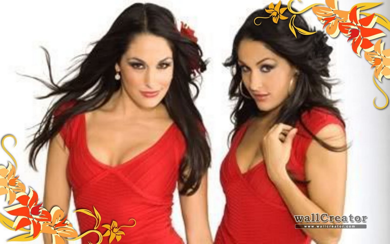 High Quality Desktop Wallpaper Wwe Divas The Bella Twins