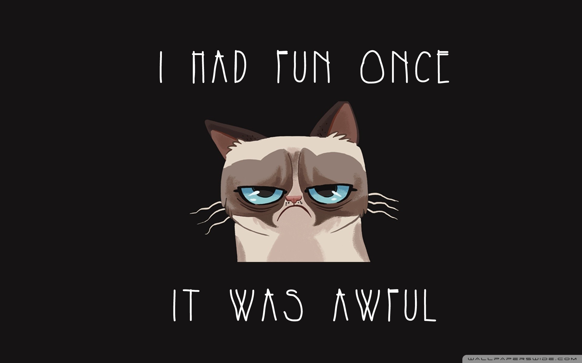 A grumpy cat with the caption 'I had fun once. It was awful.'