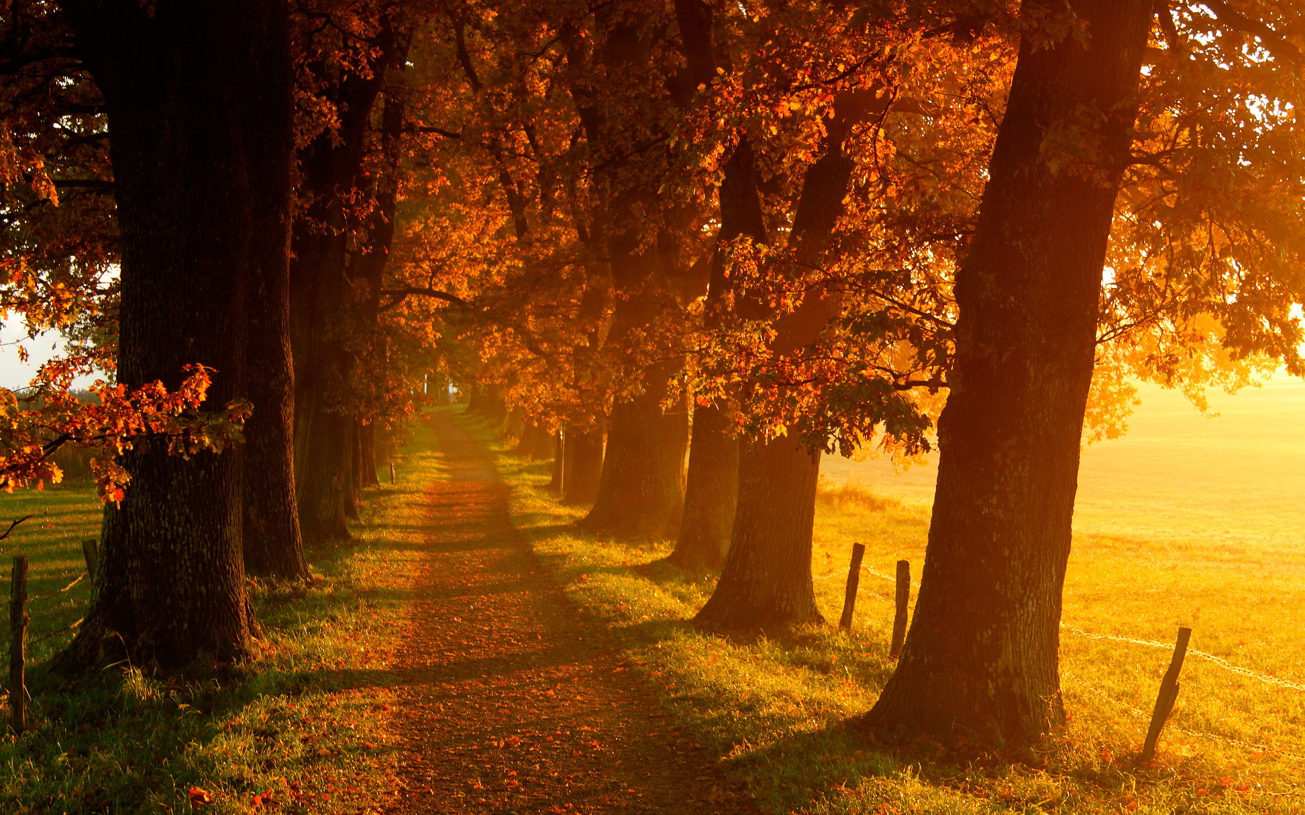 country fall scenery images