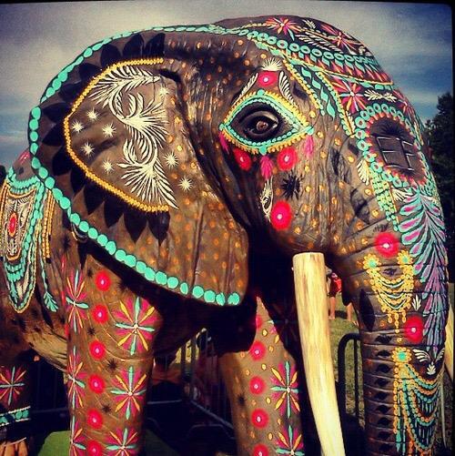 This Elephant Is Better Than Me Image By Miss On Favim