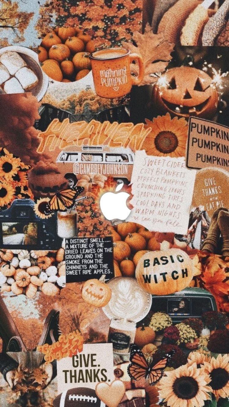 Halloween iPhone Wallpaper Orange Pumpkin Fall