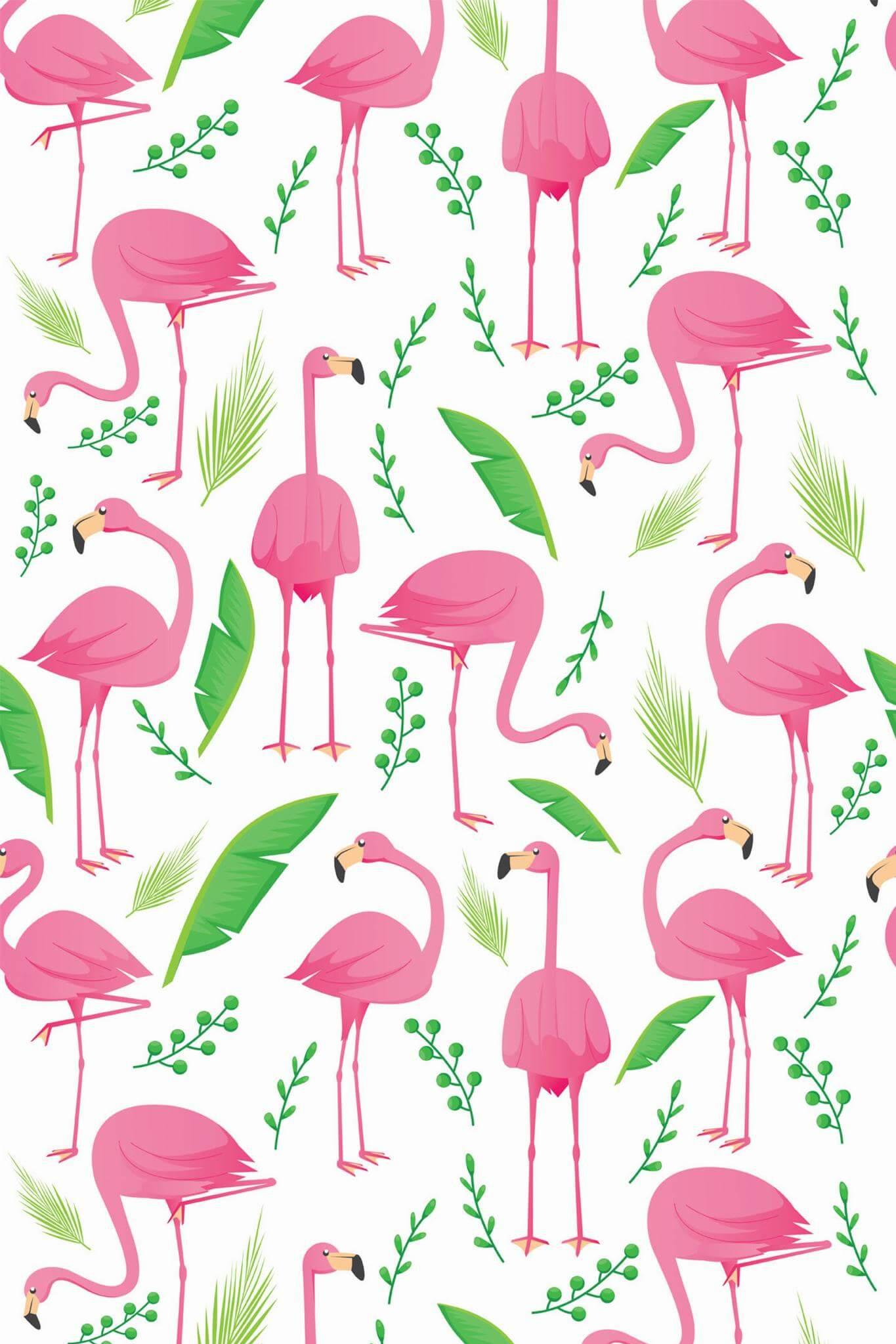 Pink Flamingo Wallpaper Peel And Stick Or Non Pasted