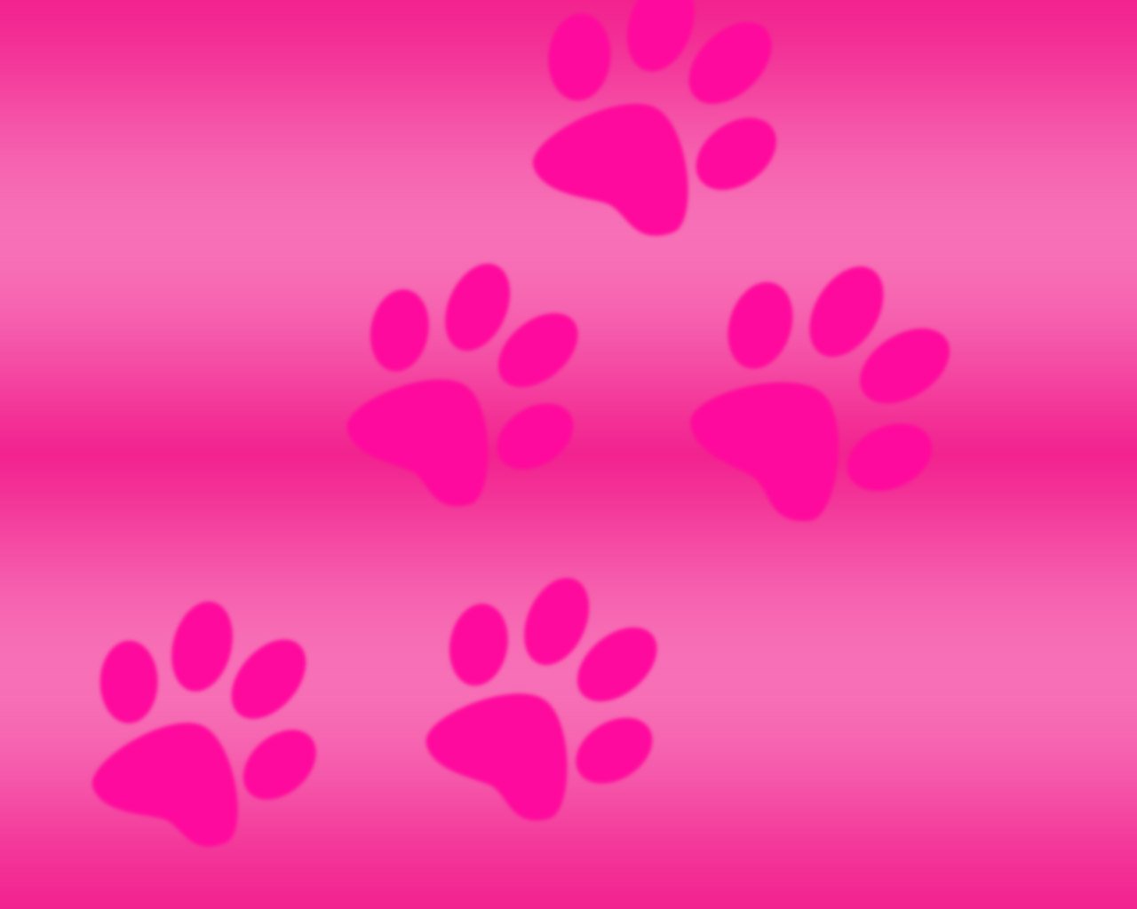 Pink wallpapers for desktop The Free Images