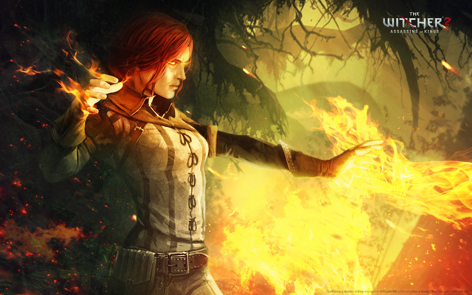 The Witcher 2   Assassins of Kings wallpaper 14667 1920x1200