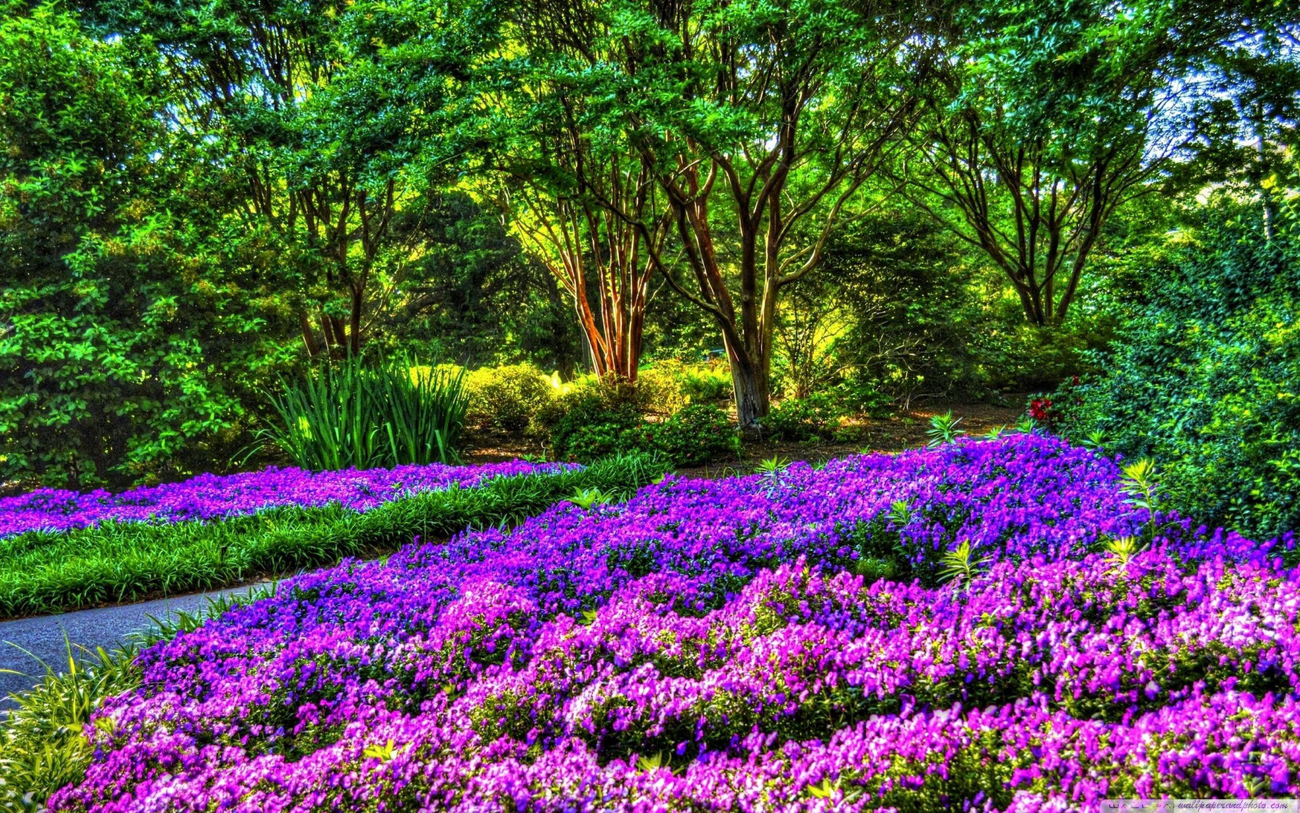 Top Spring Garden HD Widescreen Wallpaper