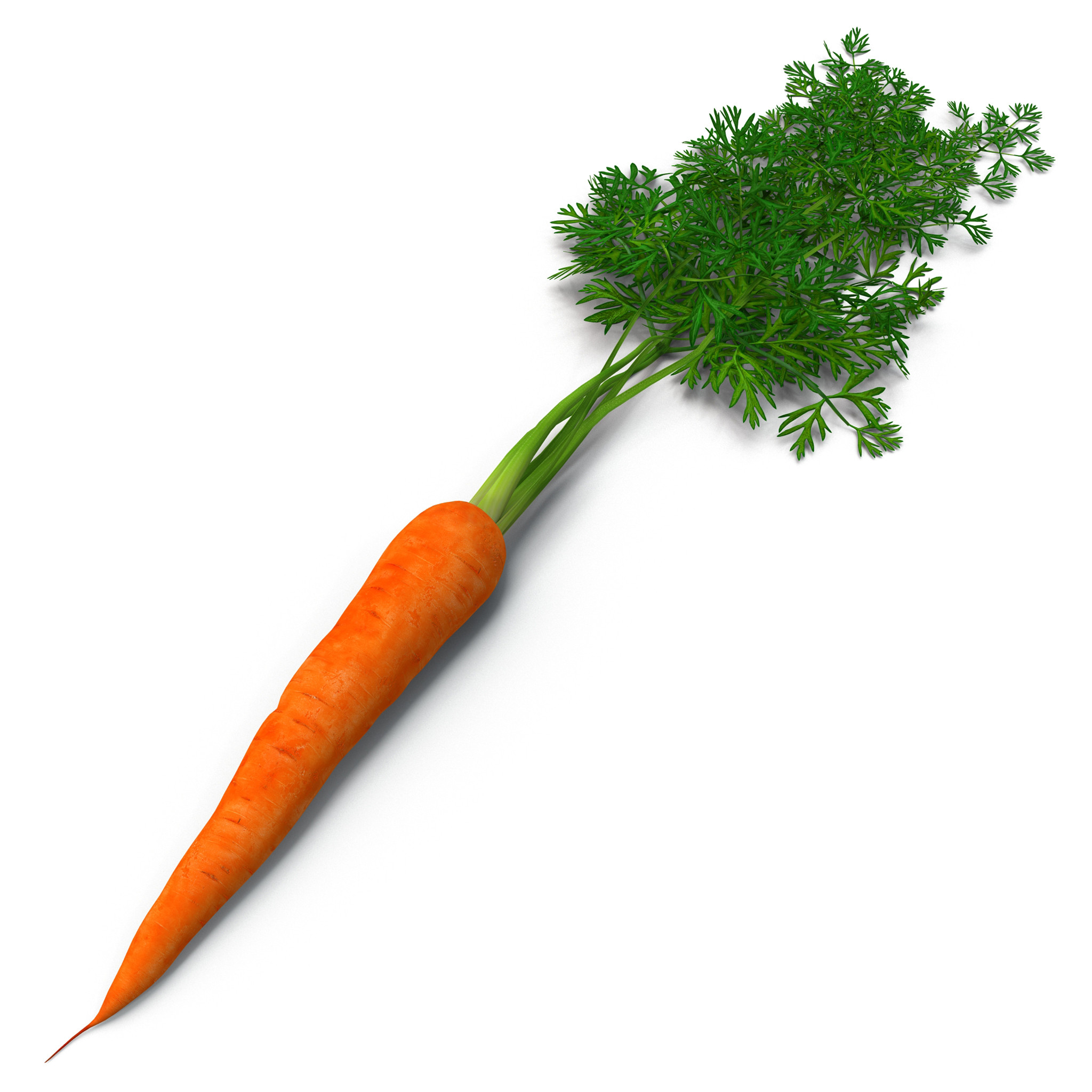 Carrot Fruit Vegetable Pictures
