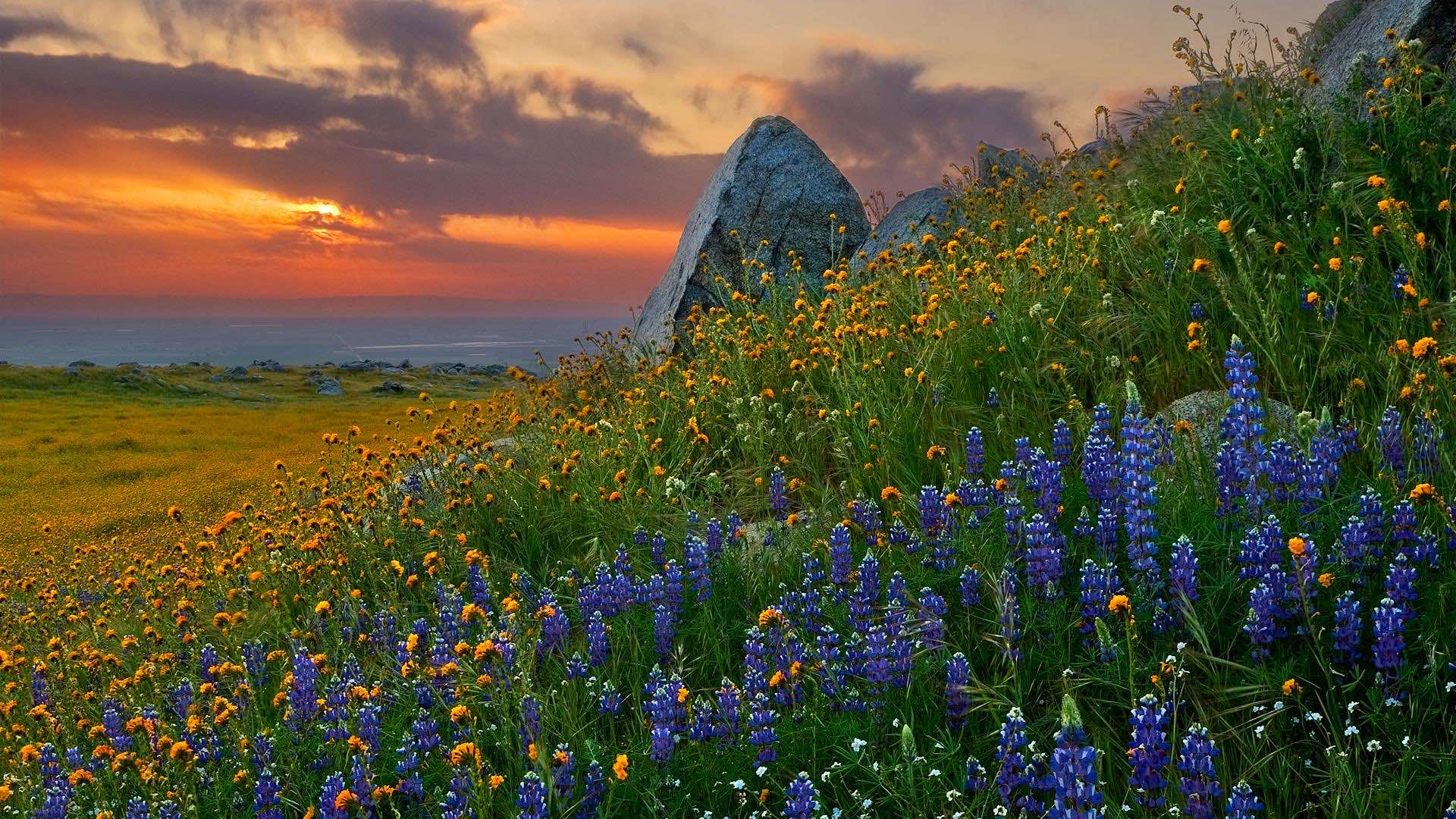 Stunning HD Landscape Photographs That Show The True Beau Wallpaper