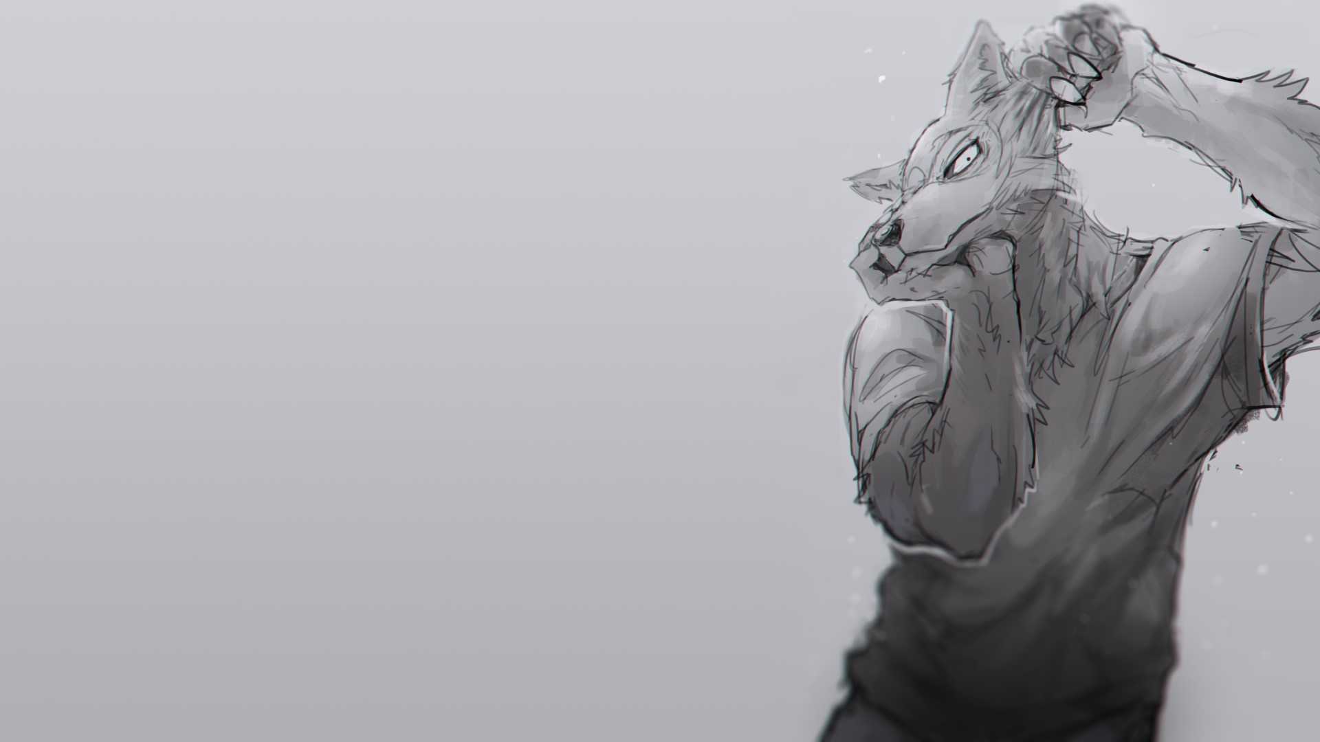 Beastars Wallpaper