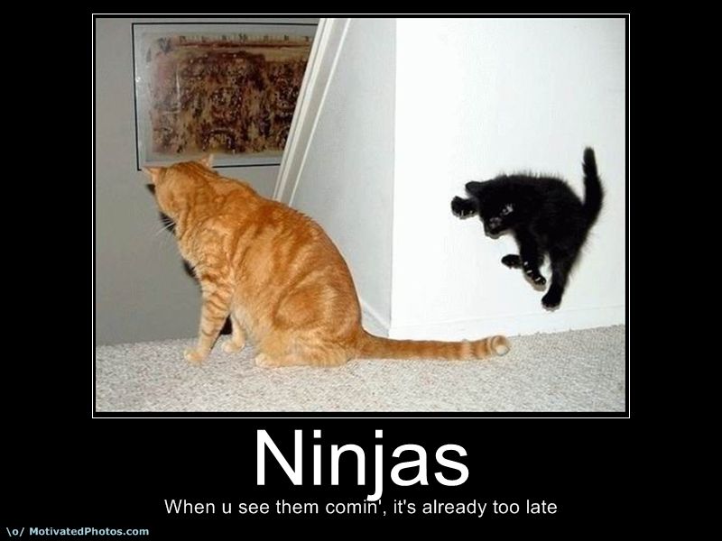 Motivational Posters Funny Ninjas